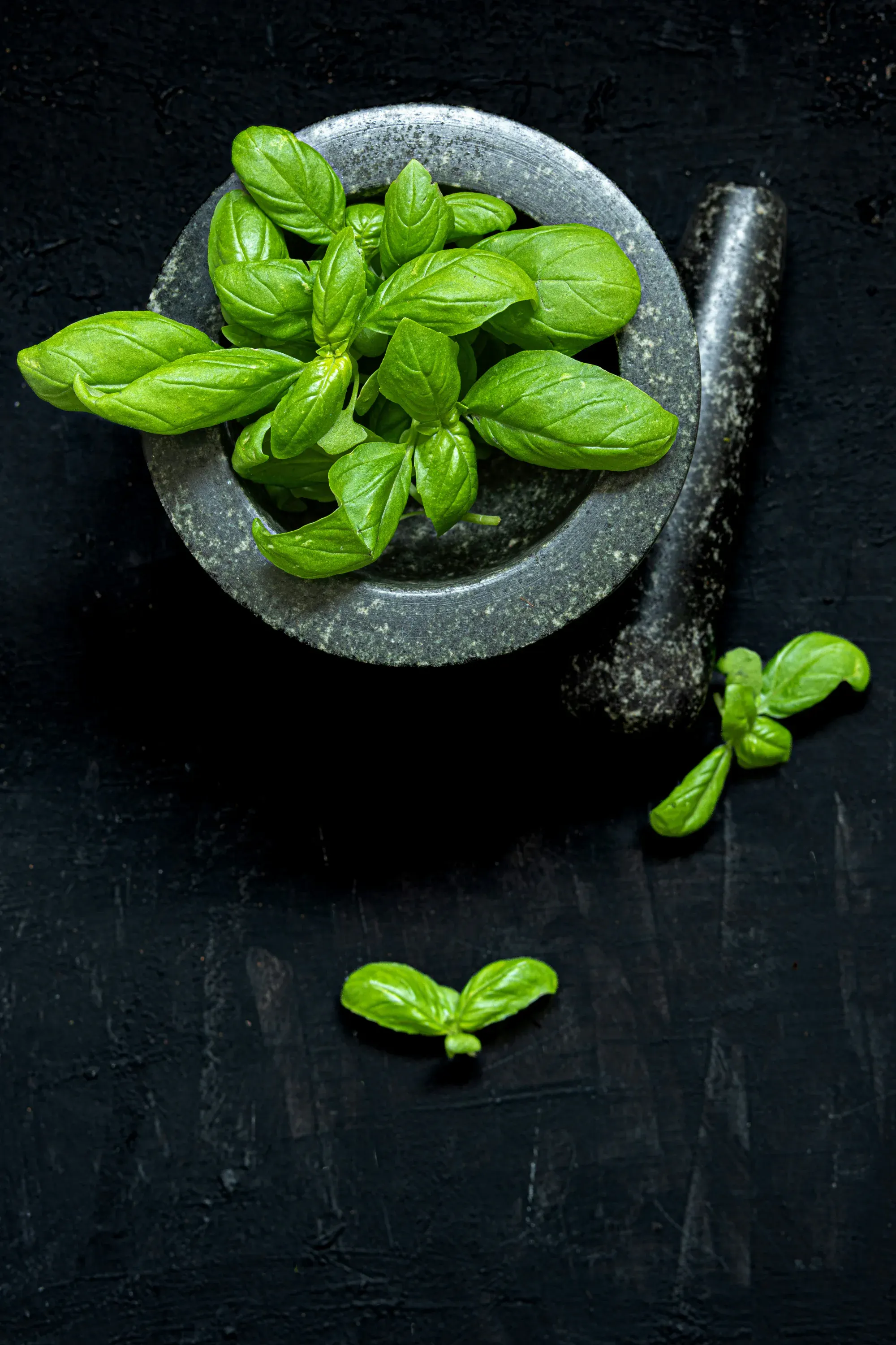 Basil, pounded to order