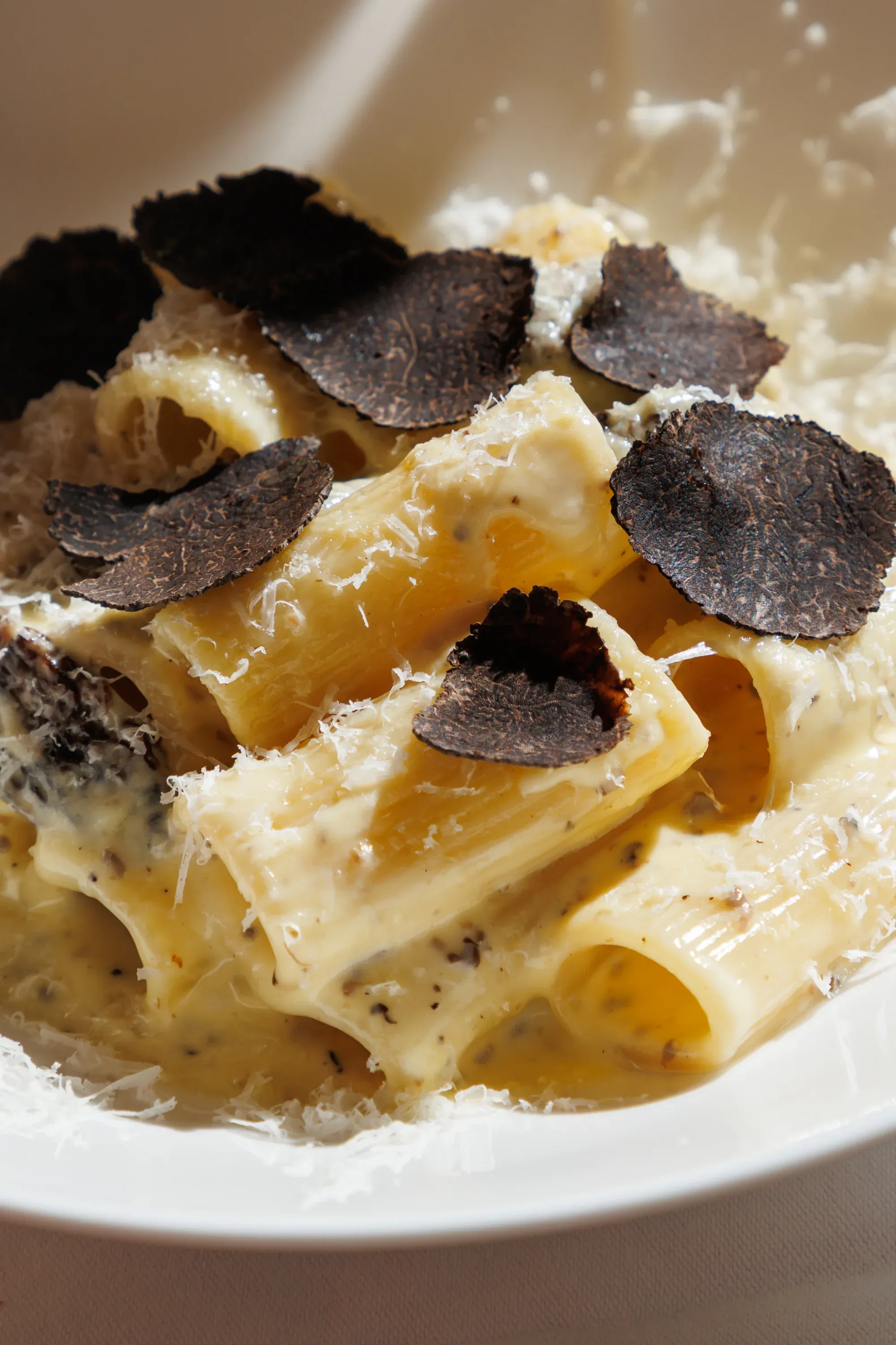 Rigatoni with aged parmesan and shaved black truffle